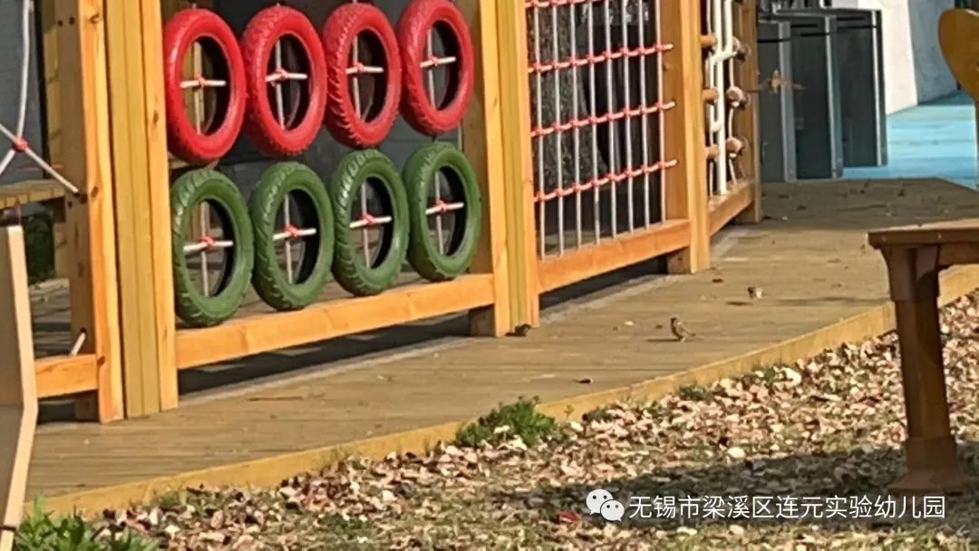 https://lysy.wxlxjy.com/contents/sitefiles2051/10255363/images/31484990.jpeg