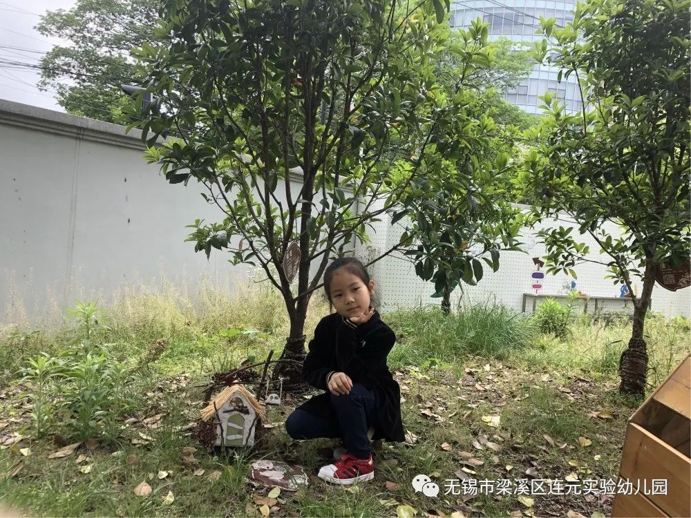 https://lysy.wxlxjy.com/contents/sitefiles2051/10255363/images/31485041.jpeg