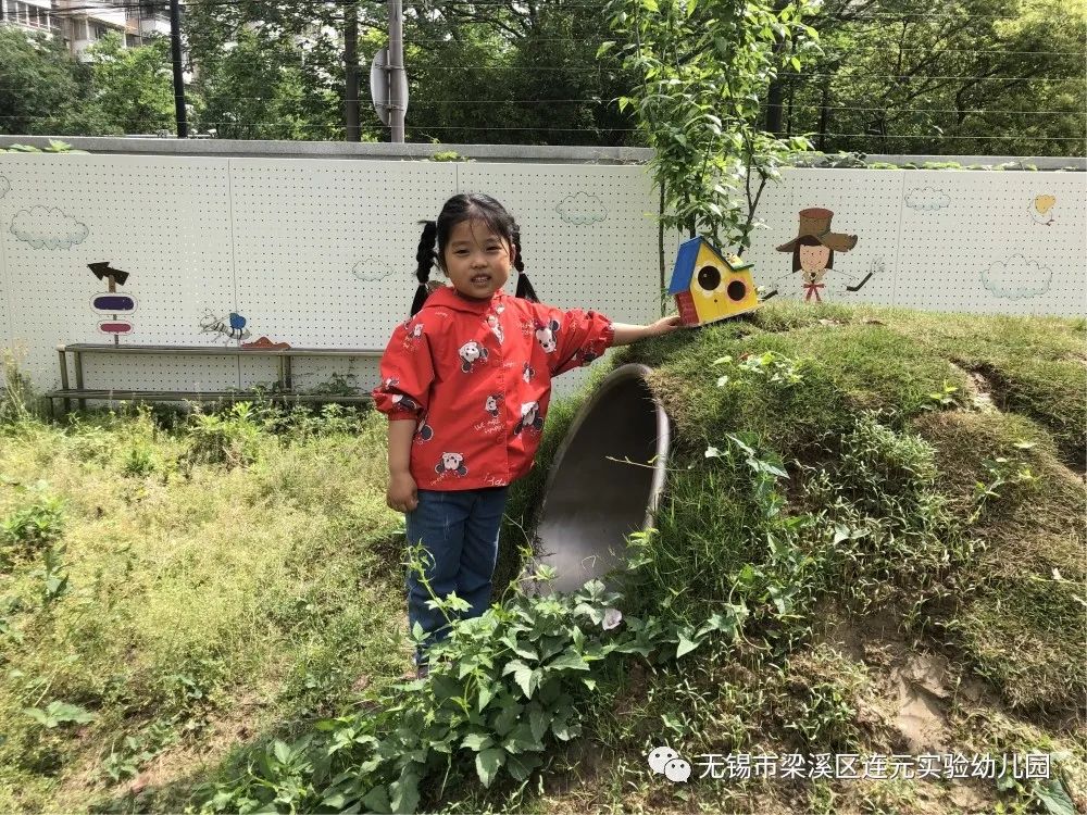 https://lysy.wxlxjy.com/contents/sitefiles2051/10255363/images/31485048.jpeg