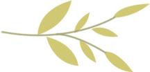 https://lysy.wxlxjy.com/contents/sitefiles2051/10255363/images/31485102.png